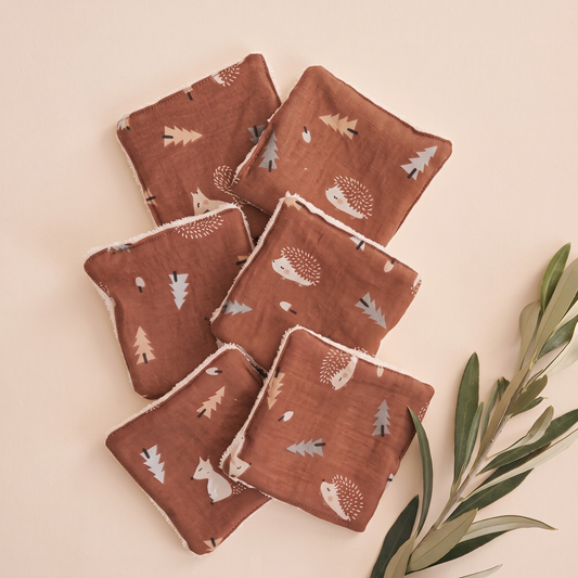Lingettes Bébé - Hérissons - Pack de 6