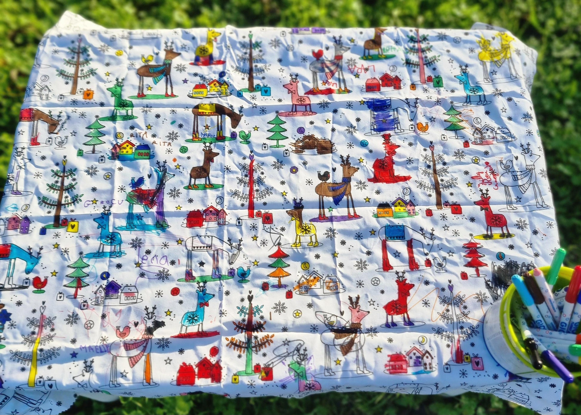 Nappe à Colorier Lavable et Réutilisable pour Enfants - Coloriage Écologique et Amusant Llooni